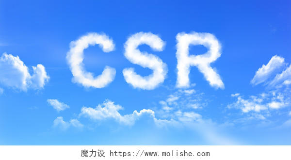 蓝天白云社会责任发展背景CSR社会责任背景